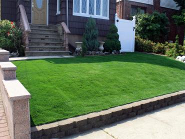 Artificial Grass Photos: Artificial Pet Turf Lakeland Village California Lawns